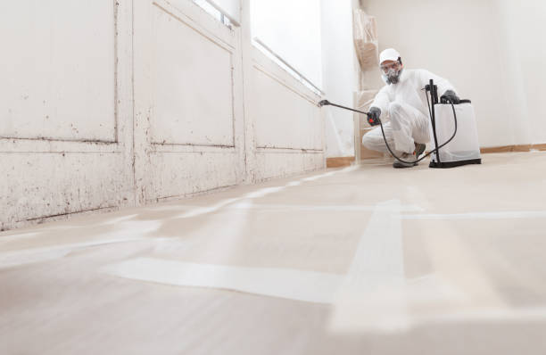 24/7 Emergency Mold Testing experts in Riverdale, NJ